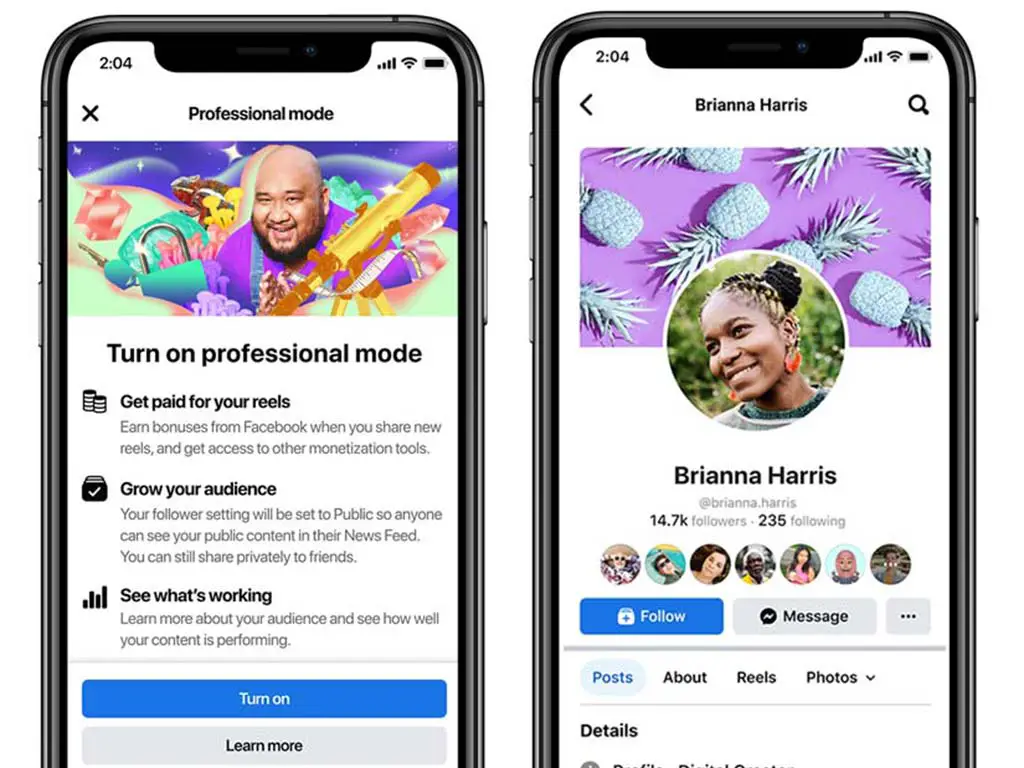 facebook professional mode