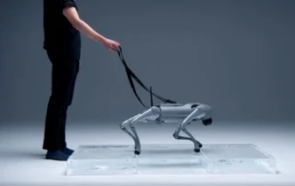 luna the robot dog